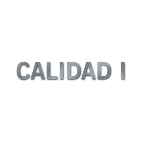 CALIDAD I