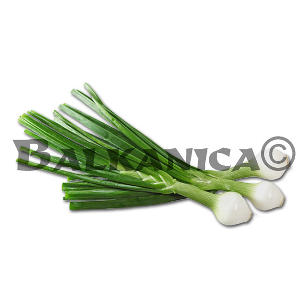 CEBULA ZIELONA KATEGORIA I