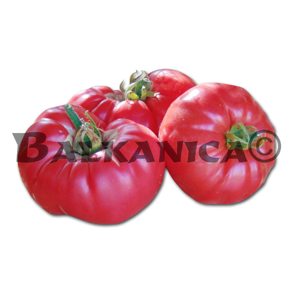TOMATES RUMANOS CALIDAD I TOMATES RUMANOS CALIDAD I