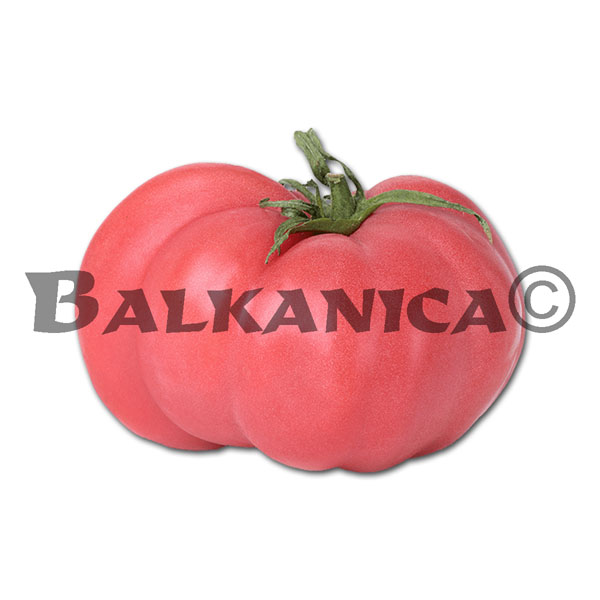 TOMATES ROSA XL BULGARIA TOMATES ROSA XL BULGARIA