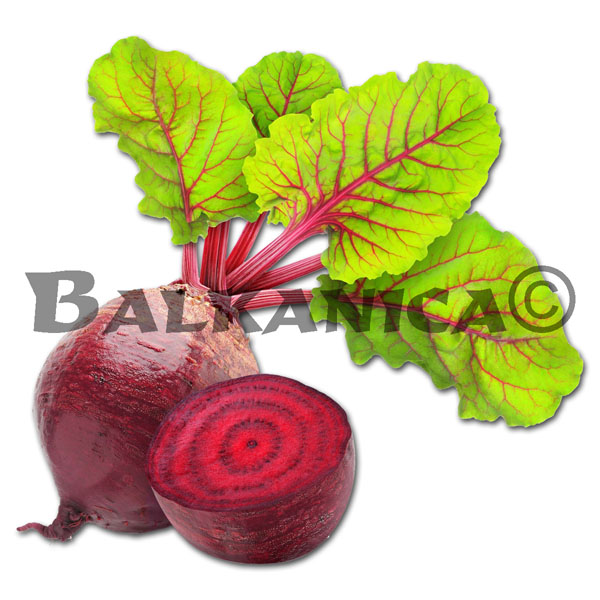 REMOLACHA ROJA CALIDAD I