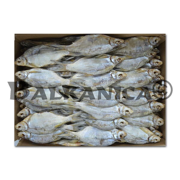 10 KG CARPA DE AGUA DULCE (LESHCH) ENTERA SECA Y SALADA 18/+CM MOOIJER