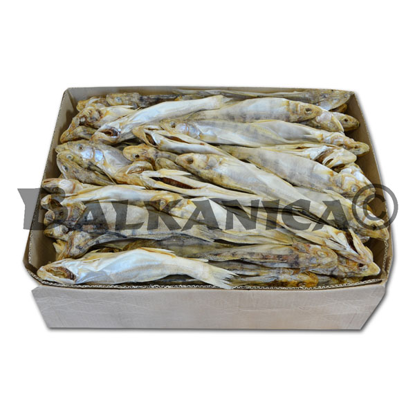 СУДАК ПОТРОШЕНИЙ В'ЯЛЕНИЙ МОЙЄР