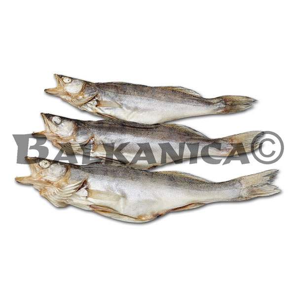 LUCIOPERCA SECA VELADIS