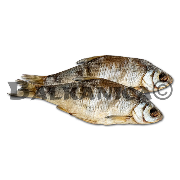 ROACH WITH HEAD CURED VELADIS