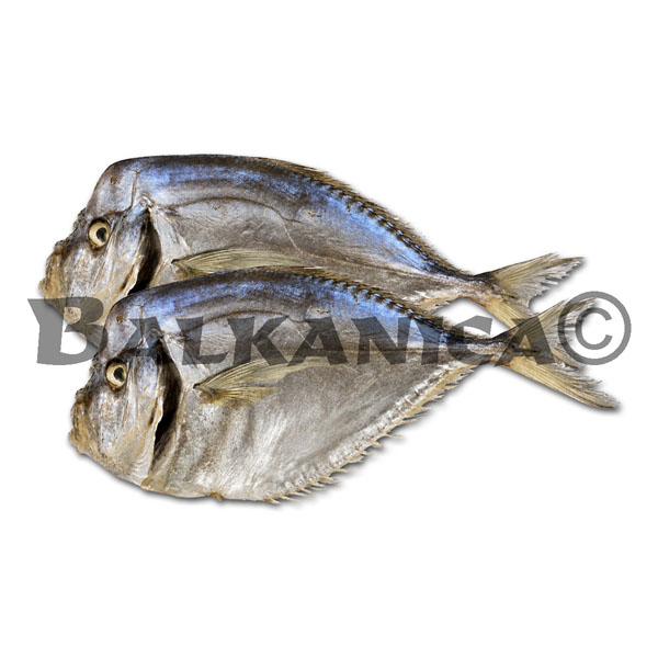 MOONFISH CURED VELADIS