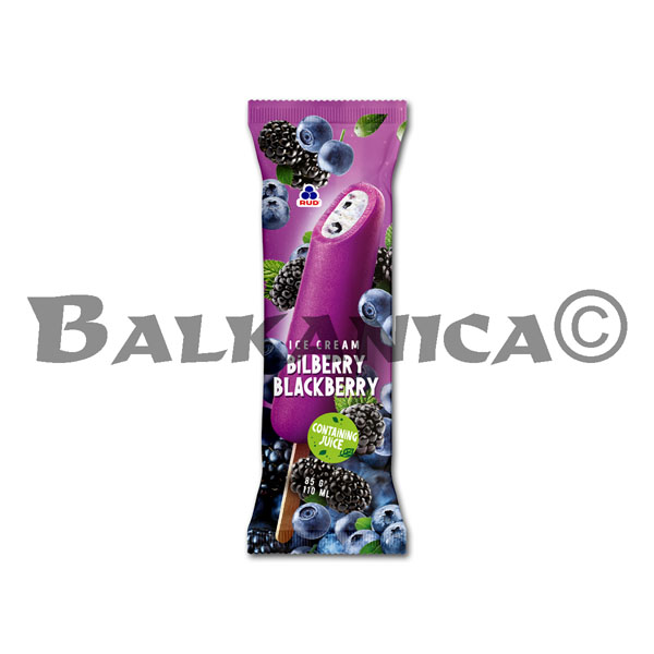 85 G HELADO DE FRUTAS ARANDANO Y MOCCRA RUD